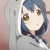 不系狐狸系猫咪