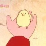 倔强土蛤蟆