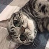 如此优秀的我