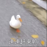 送温暖