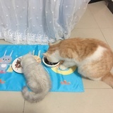 穹妹