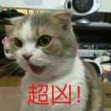 残忆追旧年