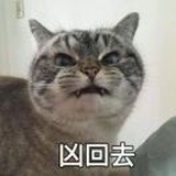 误解