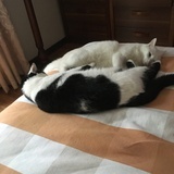 小小韩