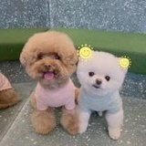 我怀念的