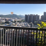 庄礼聪