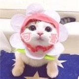 扶着朕！！！！