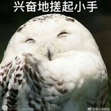 呦逗