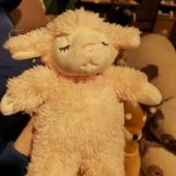星星眼底