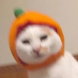 温闻