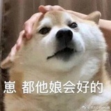 哇哇