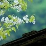 散步的蜗牛