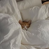 可乐总是要加冰