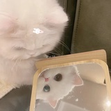 是挺好笑的
