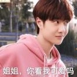 词汇佳