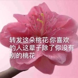 小叮当333