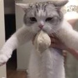 温宁