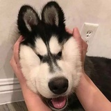 到灯塔去