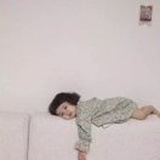 折桉