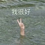 朱家银鹭