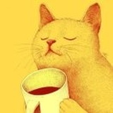 秋田县的柴猫