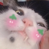 小徐恰东西