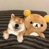 好好先生