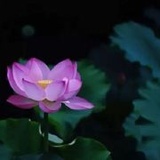 手机用户1818729