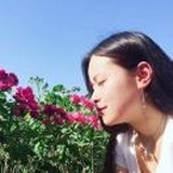 茶茶