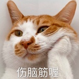 嗯