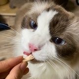 豆友201881060