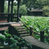 cc克尔
