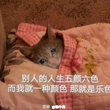 清风朗月
