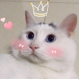 豆友201919299
