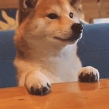 好的啊
