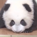 豆友201947424