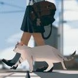 是土猫啊_