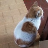 心中有党成绩理