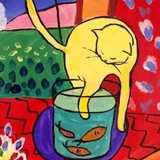 Meow8