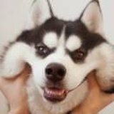 biu