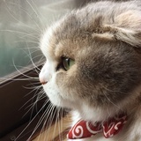 哔哩啪啦啦
