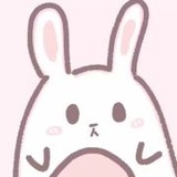 猫咪什么时候来