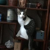 小酱妈