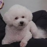 达咩~