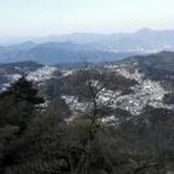 李yj