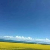 蓝Q