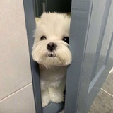 盐焗星球