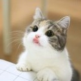 佚之阳