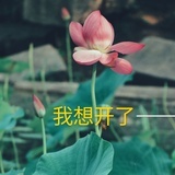 小戎推荐✔