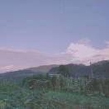 稳重